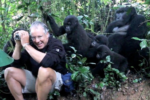 Touched-by-a-Wild-Mountain-Gorilla-Uganda’s-Bwindi-National-Park